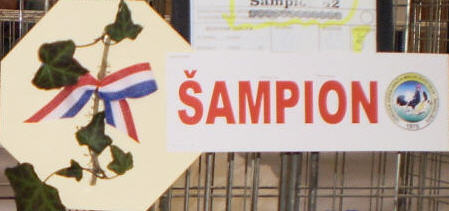 Izlozba malih zivotinja 15.01.2012.g. Nedelisce.